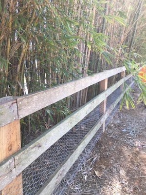 Fletch Fencing project 6