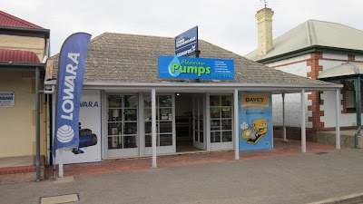Fleurieu Pumps