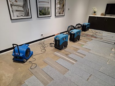 Flood Restoration Geelong | Mould Remediation Geelong project 5