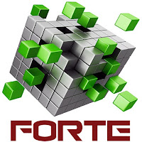 FORTE ASSET SERVICES