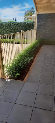 Fox Mowing (Goodwood) Adelaide work 2