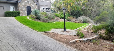 Fox Mowing (Goodwood) Adelaide project 5