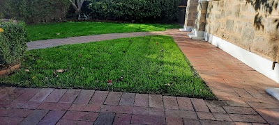 Fox Mowing (Goodwood) Adelaide project 6