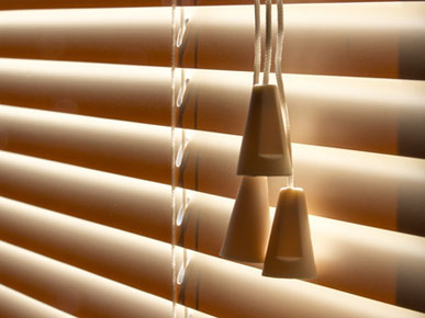Freddy's Blinds work 4