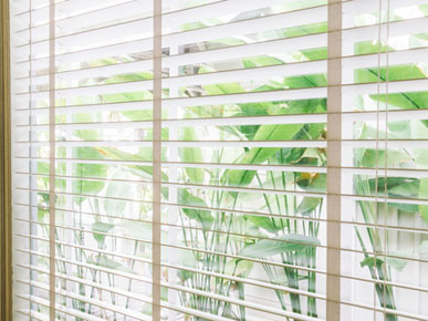 Freddy's Blinds project 6