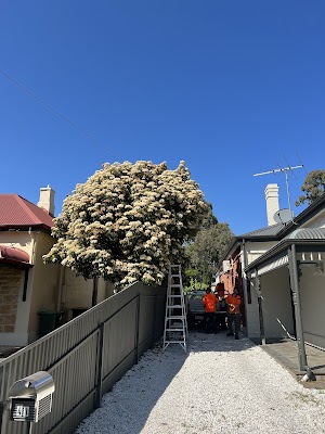 FTGU Tree Services project 5