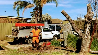 FTGU Tree Services