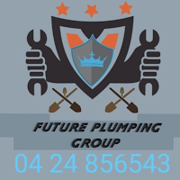 Future Plumbing Group