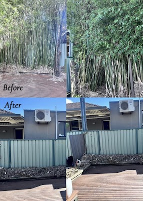 GAP Tree Lopping Services project 4