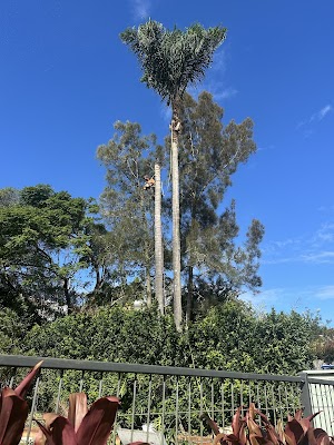 GAP Tree Lopping Services project 6