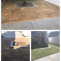 Garden of Eden Garden Care