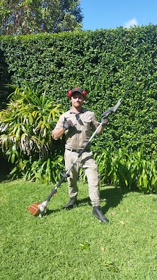 Gardener Next Door photo 2