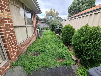 Gardener Next Door project 4