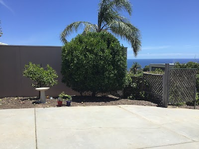 Gardens of Aden project 6