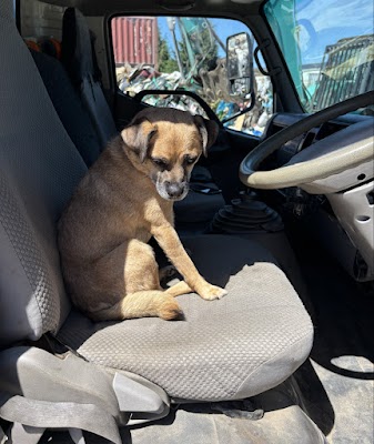 Geelong Rubbish Removal Service work 2