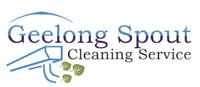 Geelong Spout Cleaning Service project 5