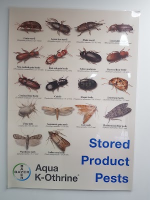 Globe Pest Solutions Padstow work 2