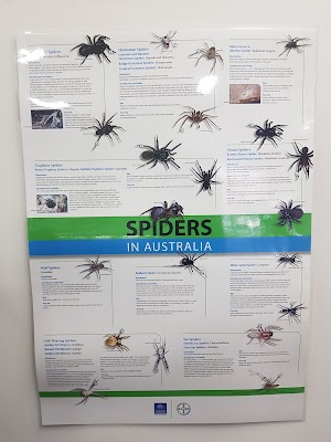 Globe Pest Solutions Padstow work 3