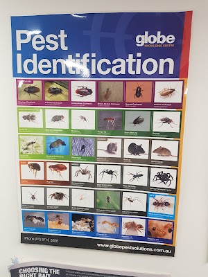 Globe Pest Solutions Padstow project 5