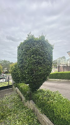 GN LAWN CARE SERVICES photo 2