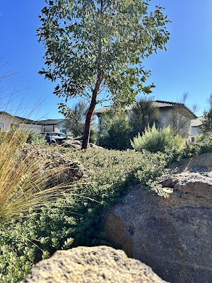 GO Landscaping work 4