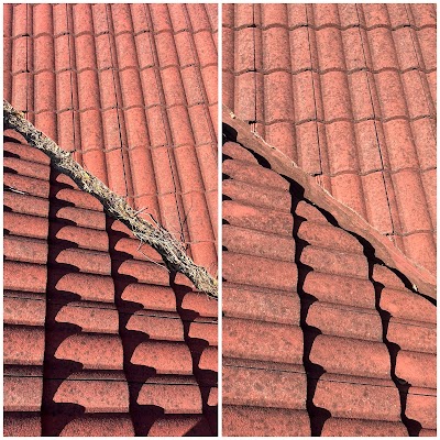 Golden Leaf Gutter Cleaning photo 2