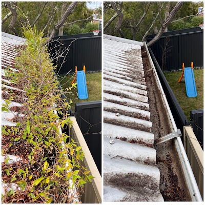Golden Leaf Gutter Cleaning project 5
