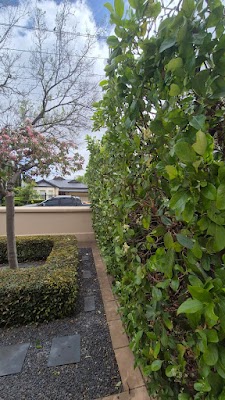 Green World Irrigation and Gardening work 4