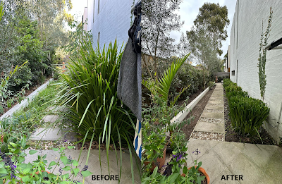 GreenGo Garden Service work 3