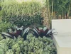 Greenview Landscapes & Lawns