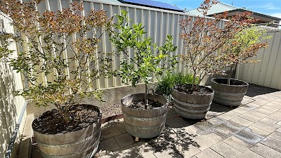 Guaranteed Garden Services work 3