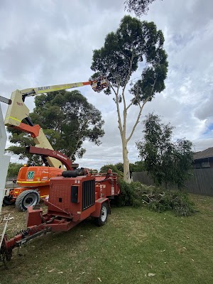 Gums To Roses Tree Care photo 2