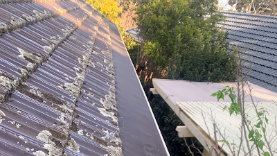 Gutter Guard Specialists project 5