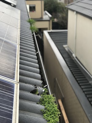 Gutter’s and Co. work 3