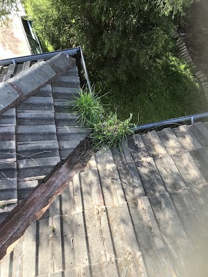 Gutter’s and Co. work 4