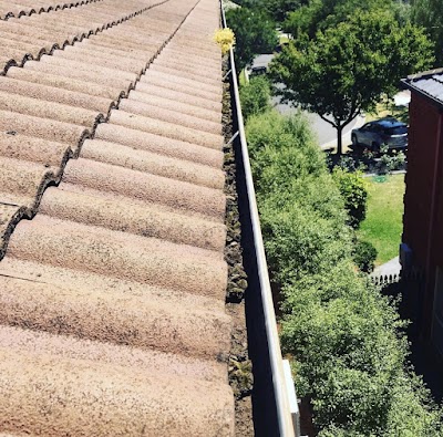 Gutter’s and Co. project 5