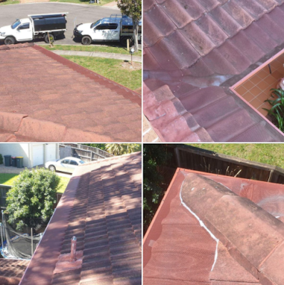 Gutterguard Australia work 4