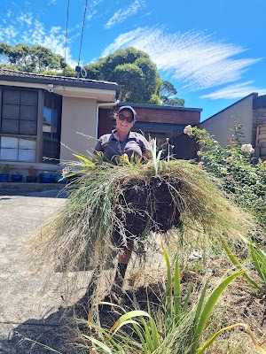 Handy Girl Australia photo 3