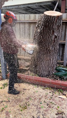 Harry's Yard: Tree Removal Services photo 2