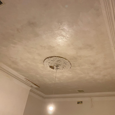 Hawthorn Plaster Repairs Specialist work 2