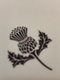 Hedgeandthistle