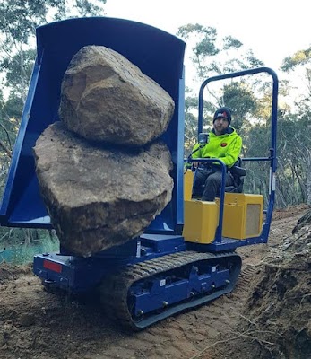 Hillcrest Excavations and Vegetation Management project 6