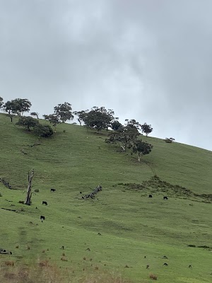 Hills and South Coast Demolition work 2