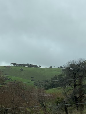 Hills and South Coast Demolition work 3