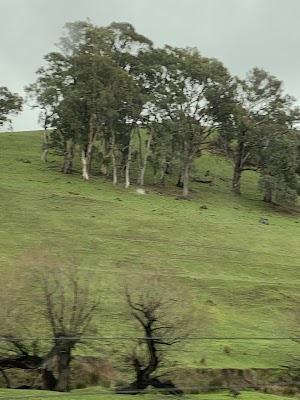 Hills and South Coast Demolition work 4