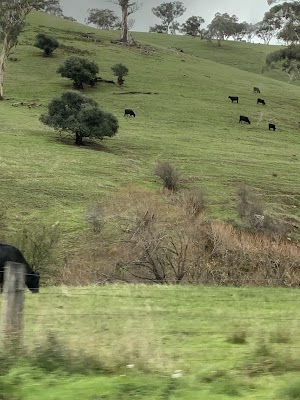 Hills and South Coast Demolition project 5