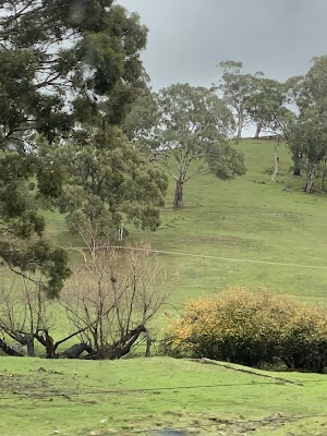 Hills and South Coast Demolition