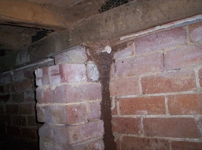 Hills Commercial Pest Control project 5