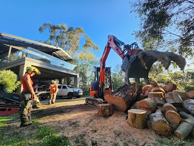 Hillside Tree Care project 4