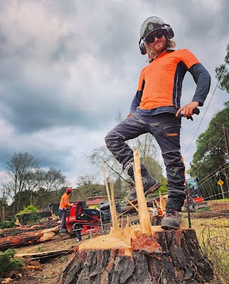 Hillside Tree Care project 5